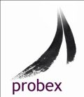 PROBEX Management Consulting Logo