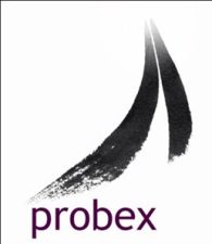 PROBEX Management Consulting Logo